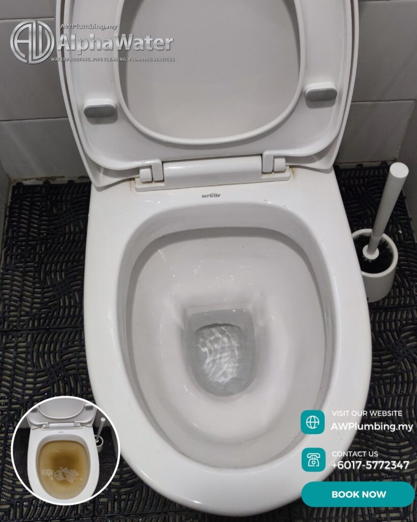 AlphaWater - Toilet, Sink, Drain Unclogging & Plumbing Services
https://awplumbing.my/