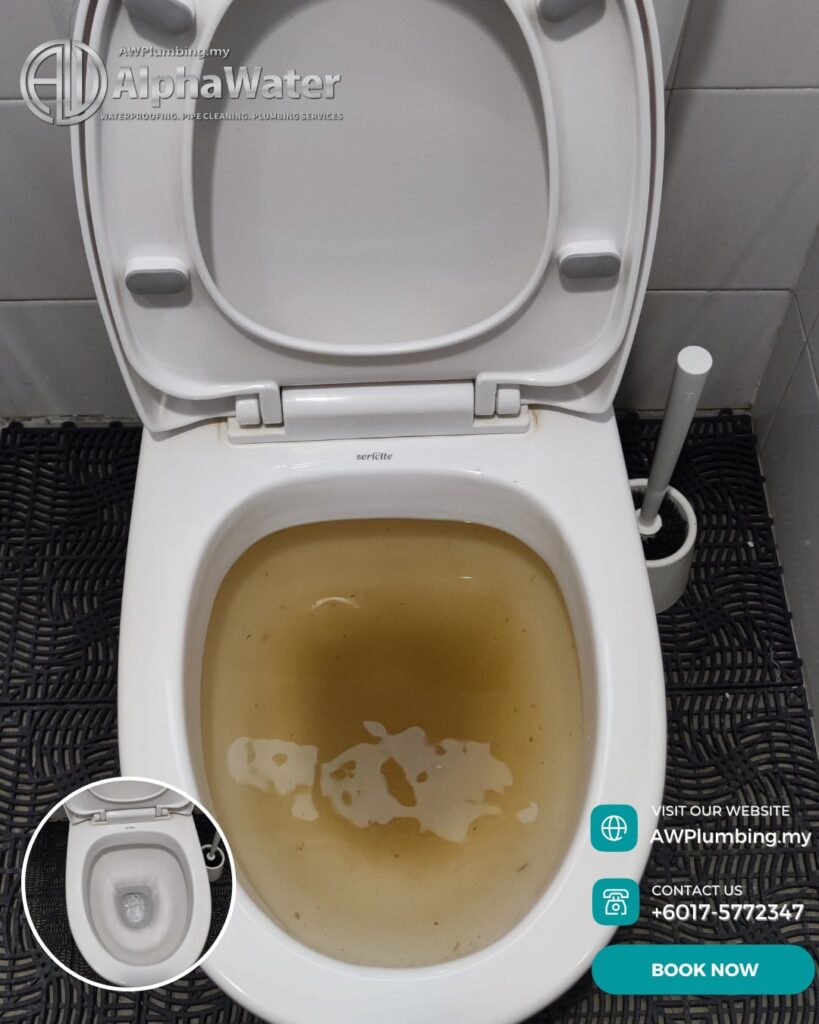 AlphaWater - Toilet, Sink, Drain Unclogging & Plumbing Services
https://awplumbing.my/