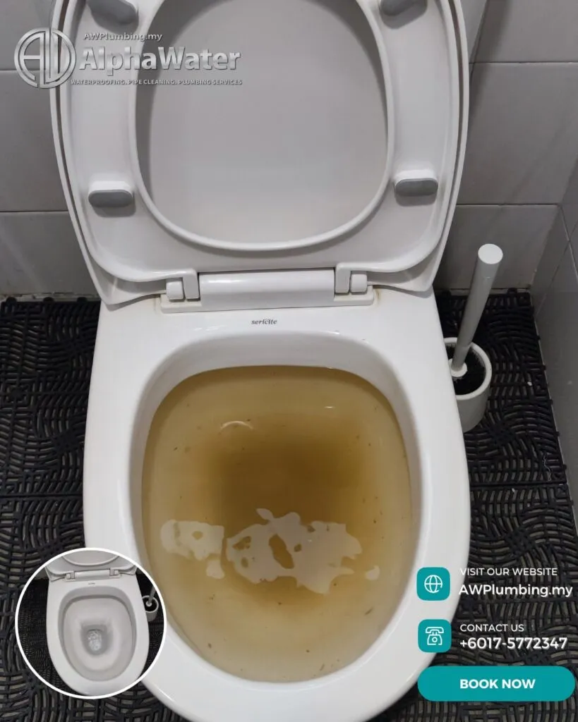 AlphaWater - Toilet, Sink, Drain Unclogging & Plumbing Services
https://awplumbing.my/