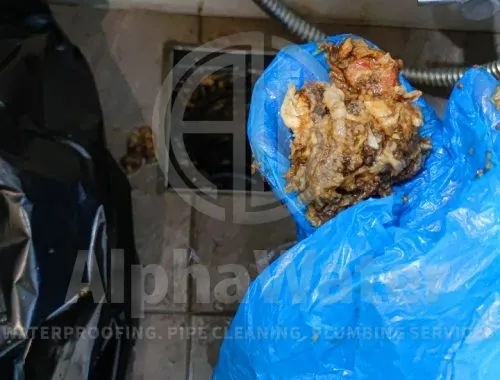 AlphaWater - Toilet, Sink, Drain Unclogging & Plumbing Services
https://awplumbing.my/