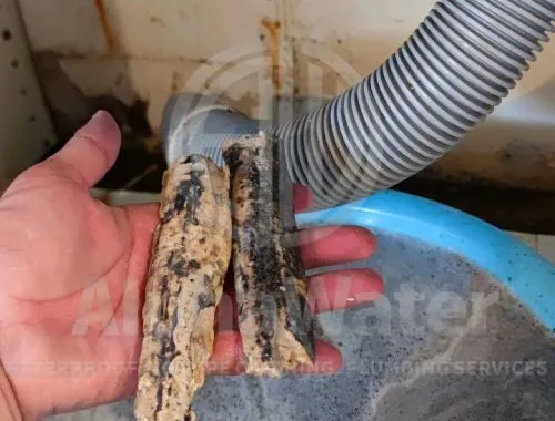 AlphaWater - Toilet, Sink, Drain Unclogging & Plumbing Services
https://awplumbing.my/