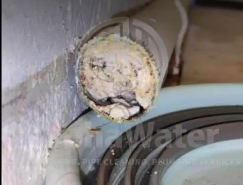 AlphaWater - Toilet, Sink, Drain Unclogging & Plumbing Services
https://awplumbing.my/