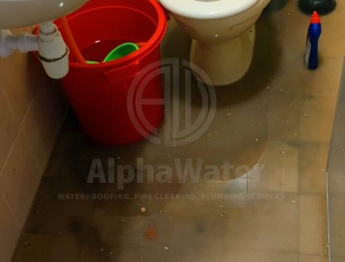 AlphaWater - Toilet, Sink, Drain Unclogging & Plumbing Services
https://awplumbing.my/