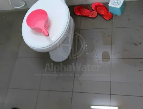 AlphaWater - Toilet, Sink, Drain Unclogging & Plumbing Services
https://awplumbing.my/
