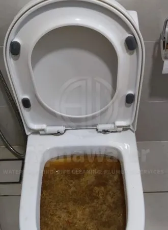AlphaWater - Toilet, Sink, Drain Unclogging & Plumbing Services
https://awplumbing.my/