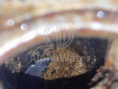 AlphaWater - Toilet, Sink, Drain Unclogging & Plumbing Services
https://awplumbing.my/