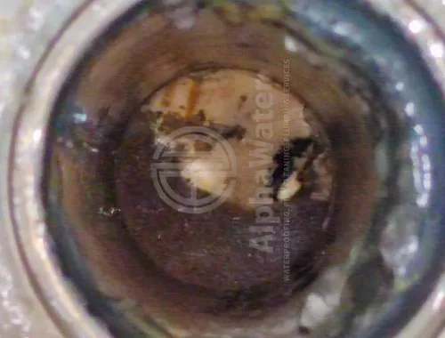 AlphaWater - Toilet, Sink, Drain Unclogging & Plumbing Services
https://awplumbing.my/