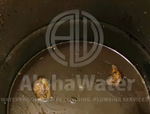 AlphaWater - Toilet, Sink, Drain Unclogging & Plumbing Services
https://awplumbing.my/