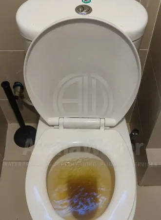 AlphaWater - Toilet, Sink, Drain Unclogging & Plumbing Services
https://awplumbing.my/