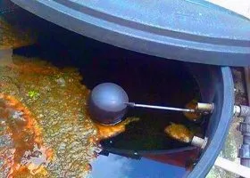 AlphaWater - Waterproofing, Pipe Cleaning, Plumbing Services - Water Tank Cleaning - Cuci Tangki Rumah - Moss - Shah Alam